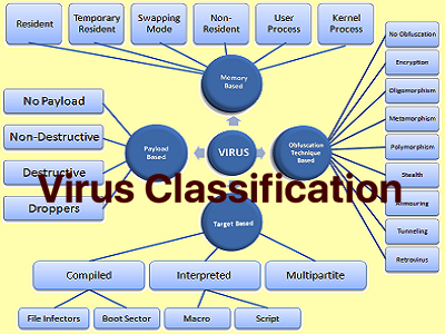Virus Classification Thumb
